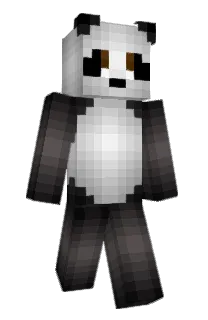 Front of Shinchipanda's skin