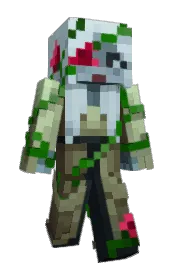 Skin preview
