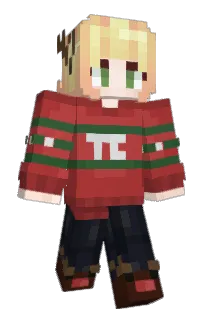 Front of defenestrxtion's skin