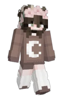 Front of teato's skin