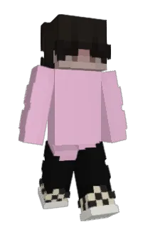 Front of Lidiot's skin