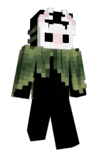 Front of RainforestVeil's skin