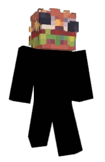Front of voidsh's skin