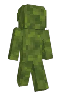 Front of MangoMan7832's skin