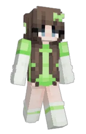 Skin preview