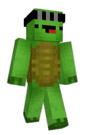 Skin preview