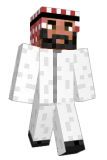 911_Niels Minecraft avatar full body