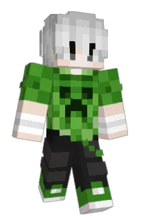 Front of Q14x's skin