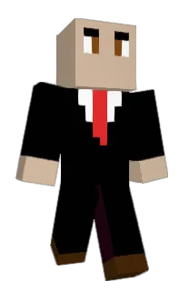 Front of XeroBone's skin