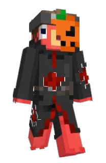Front of sirbuddington's skin