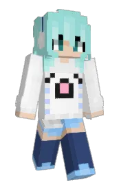 Skin preview