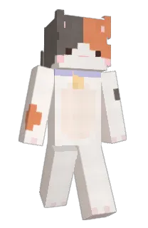 Front of EloyCubo's skin