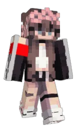 Classic Minecraft skin