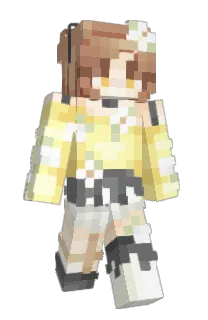 Front of Starrymic's skin