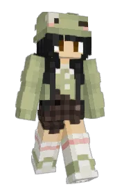 Skin preview