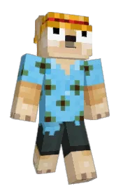 Skin preview