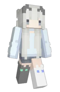 Front of e77201's skin