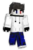 SakSD