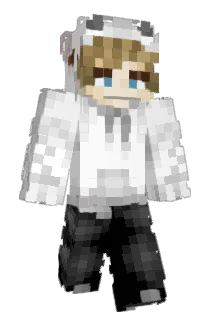 916fps Minecraft avatar full body