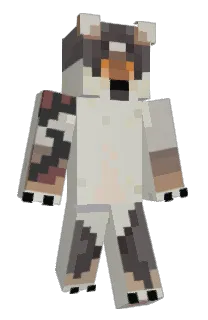 Front of _ST34K's skin