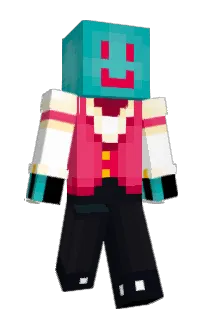 Front of qotice's skin