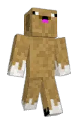 TheTDOC