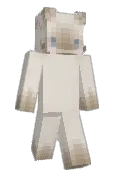 FoxyGamer1
