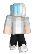 NieelMC