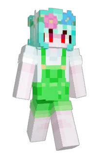 Front of DS4Ever's skin