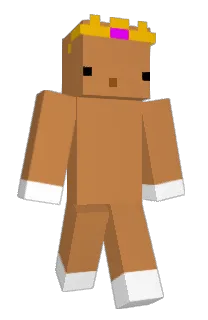 Front of Minecraft skin