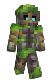 Skin preview