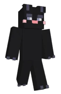 Front of zuudy's skin
