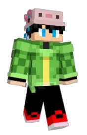 Skin preview