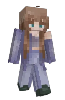sashavis's Minecraft skin