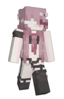 EDGV's Minecraft skin