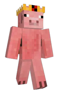 Front of Minecraft skin