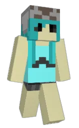 Minecraft skin — Classic model