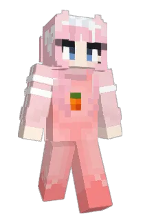 cocococat's Minecraft skin
