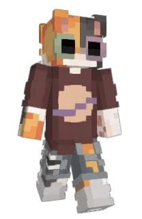 Front of movethattbus's skin