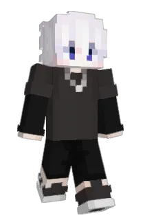 slowwwe's Minecraft skin