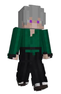 Front of roopic's skin