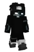NoctiSight