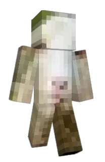 Front of lamb04's skin