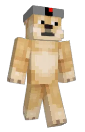 Skin preview