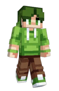 Front of ledf's skin