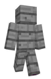 Front of Skii555555555's skin
