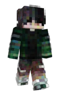 Front of mifidy's skin