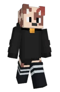 Front of iNylo's skin