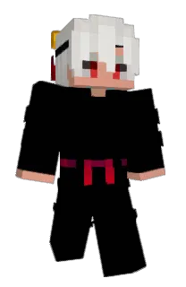 Front of Husion's skin