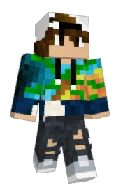 Skin preview